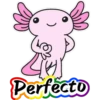 axolotl  mi amigo 2 23