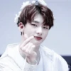 Stray kids love stick 29