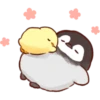 Soft and Cute Chicks 30