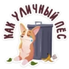 bublik_dog 5