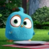 angry birds 8