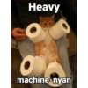 kucing lucu 11