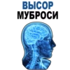 TiredBrain 7