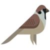 Animals 5