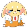 Buny_vk 7