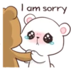I am sorry