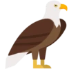 Animals 7