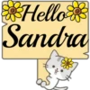 Hello Name Cat 1 6