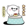 Bear 100% Winter 7