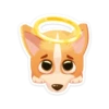 bublik_dog 9