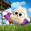 angry birds 11