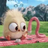 angry birds 12