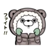 Bear 100% Winter 9