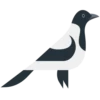 Animals 8