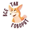 bublik_dog 10