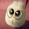 angry birds 14