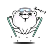 Bear 100% Winter 12