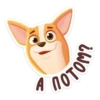 bublik_dog 12