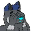 RubenWolf 13