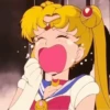Sailor moon 11