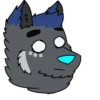 RubenWolf 14