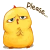 Chicken 17