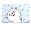 Bear 100% Winter 16