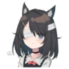 Black cat Eve 15