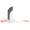 Animals 12