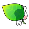 Spoiled rabbit house 20