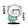 Bear 100% Winter 17