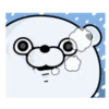 Bear 100% Winter 19