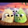 angry birds 17