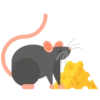 Animals 13