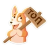 bublik_dog 15
