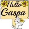 Hello Name Cat 1 11