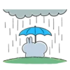 Spoiled Rabbit You 19