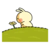 Spoiled rabbit 2 17