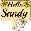 Hello Name Cat 1 12