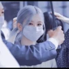 Rose Blackpink 12