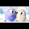 angry birds 20