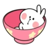 Spoiled rabbit house 21
