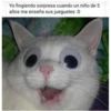 miau 8