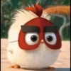 angry birds 21