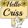 Hello Name Cat 1 14