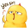 Chicken 19