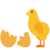 Animals 15