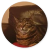 Stupid cats 18
