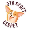 bublik_dog 16
