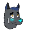 RubenWolf 21